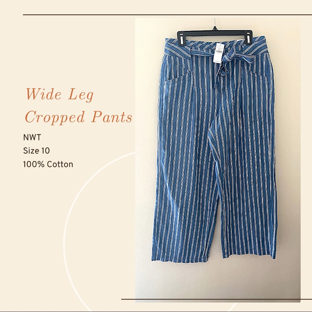 American Eagle Cropped Pants NWT